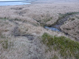 The raised causeway, leading away to the right