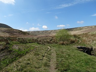 Path turning left up the hill