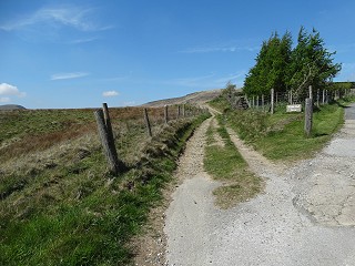 Farm track to White Hall farm